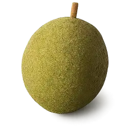 Raw Jackfruit