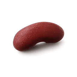 Red Kidney Bean