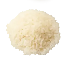 rice ada