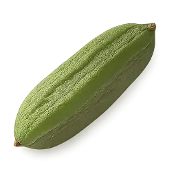 Ridge Gourd