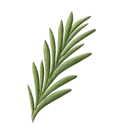 Rosemary