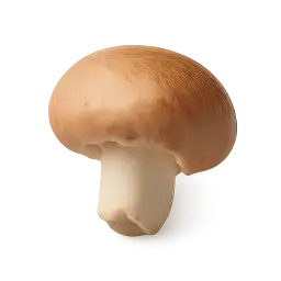 Rugra Mushroom