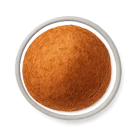 Saoji masala