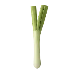 Scallion