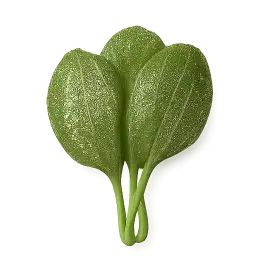 Seasonal Green