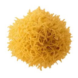Sev