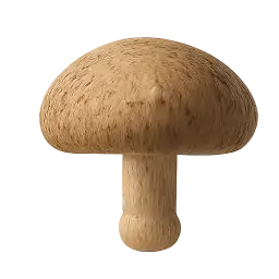 Shiitake Mushroom