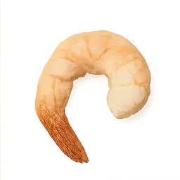 Shrimp
