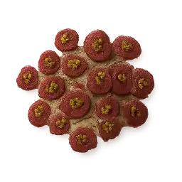 Sichuan Peppercorn
