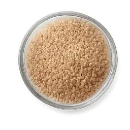 Sorghum Kernel