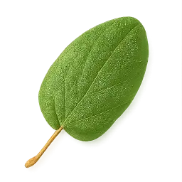 Sorrel Leaf