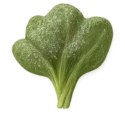 Spinach