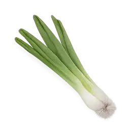 Spring Onion