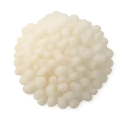 Tapioca