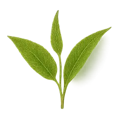 Tea Leaf