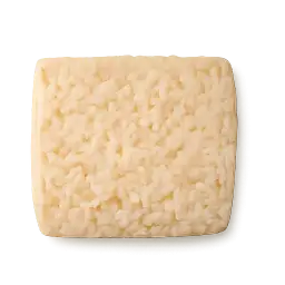 tempeh