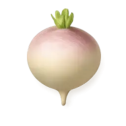 Turnip