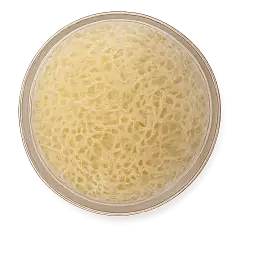 Vermicelli