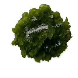 Wakame