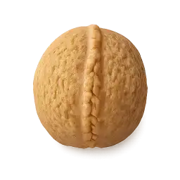 Walnut