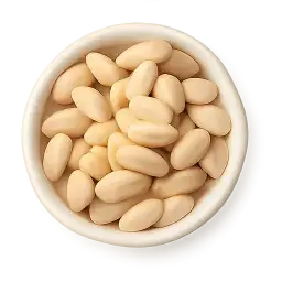 White Bean
