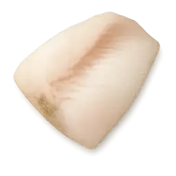 White Fish