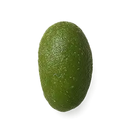 Wild Cucumber