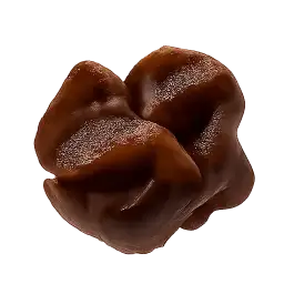 Wood Ear Mushroom